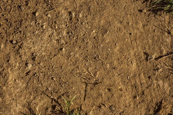 Toprak dokusu. Kuru bahçe arka planı.
