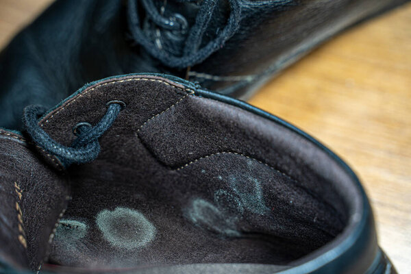 Mold inside the shoes. Close-up of green mildew. Footwear with fungus.