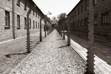 Oswiecim, Polonya - 20 Mayıs 2012: Auschwitz-Birkenau toplama kampında elektrikli dikenli tel örgülerin arasına bakın. Sepia resmi.