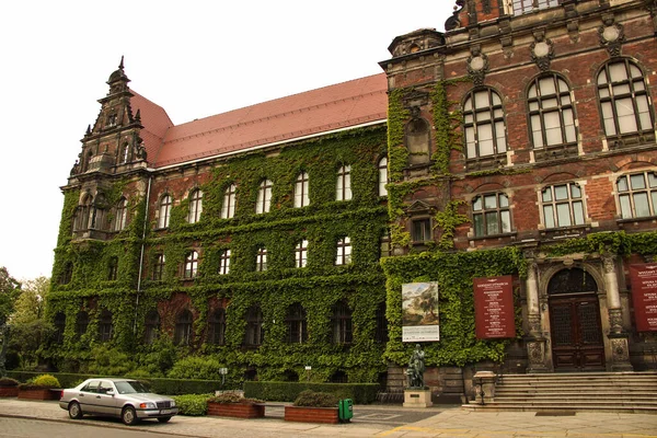 Wroclaw, Polonya - 18 Mayıs 2012: yeşil duvarlar. Ivy Ulusal Müze (Muzeum Narodowe Wroclawiu) cephelerini kapsıyordu.).