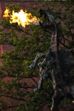 Krakow, Polonya - 19 Mayıs 2012: Wawel Dragon 'un (Smok Wawelski) bronz heykeli. Wawel Tepesi eteğinde bir anıt..