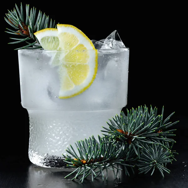 Nízkoúhlý Ledově Chladný Moderní Gin Tonickým Koktejlem Zdobený Plátky Citronu — Stock fotografie