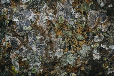 Mağara kaya duvarının yüzeyi. gri taş doku arkaplanı.