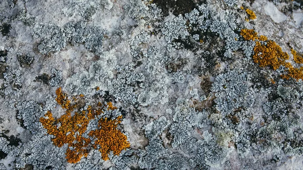 Поверхность Скальной Стены Пещеры Текстура Серого Камня — стоковое фото