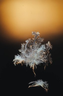 Kış penceresinde soğuk doğal desen.