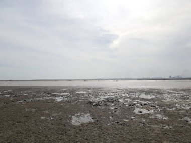 Plaj, Deniz ve Gökyüzü Manzarası. Surat, Gujarat, Hindistan 'daki Dummash Plajı.