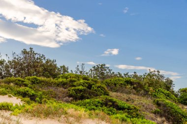 The coastline with beautiful beaches around Tathra and Merimbula, New South Wales Australia  clipart