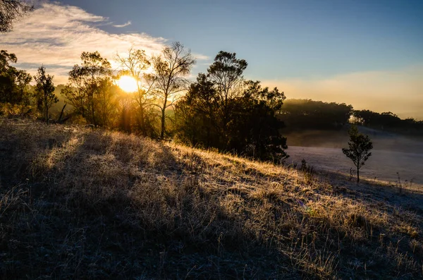 Зимнее Замерзающее Туманное Утро Маллиганах Плоском Заповеднике Австралийская Столичная Территория — стоковое фото