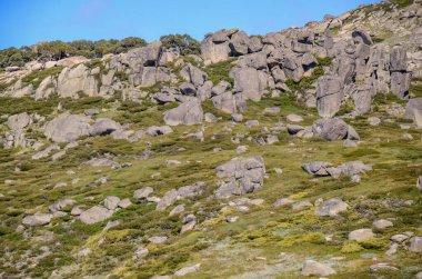 Güneşli bir gün ve karlı dağlarda Kosciusko Dağı 'nın vadilerinde güzel bir manzara Thredbo, perisher mavisi, Yeni Güney Galler, Avustralya