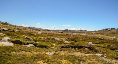 Güneşli bir gün ve karlı dağlarda Kosciusko Dağı 'nın vadilerinde güzel bir manzara Thredbo, perisher mavisi, Yeni Güney Galler, Avustralya