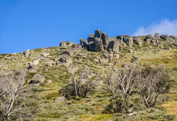 Solig Dag Och Vacker Utsikt Dalarna Mount Kosciusko Snöiga Berg — Stockfoto