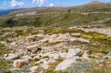 Güneşli bir gün ve karlı dağlardaki Kosciusko Dağı vadilerinde güzel bir manzara Thredbo, perisher mavisi, Yeni Güney Galler, Avustralya