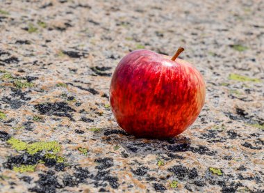 Güneşli bir gün ve karlı dağlardaki Kosciusko Dağı vadilerinde güzel bir manzara Thredbo, perisher mavisi, Yeni Güney Galler, Avustralya