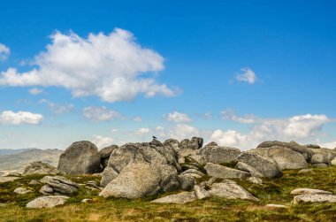 Güneşli bir gün ve karlı dağlardaki Kosciusko Dağı vadilerinde güzel bir manzara Thredbo, perisher mavisi, Yeni Güney Galler, Avustralya