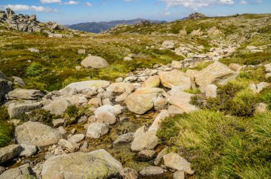 Güneşli bir gün ve karlı dağlardaki Kosciusko Dağı vadilerinde güzel bir manzara Thredbo, perisher mavisi, Yeni Güney Galler, Avustralya