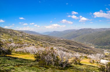 Güneşli bir gün ve karlı dağlardaki Kosciusko Dağı vadilerinde güzel bir manzara Thredbo, perisher mavisi, Yeni Güney Galler, Avustralya