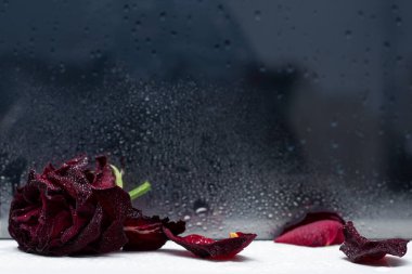 Kırmızı gül, su ve cam.