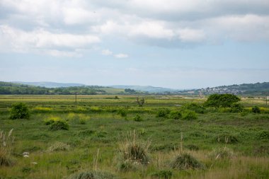 St. Helens yakınlarındaki tarlaların manzarası, Wight Adası.