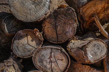 Birbiri üzerine çokça kütük