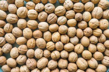 Ceviz kabuğu arka planı. Yukarıdan bak. fındık arkaplanı 