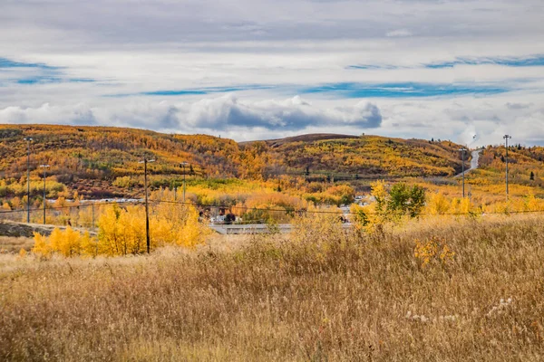 Kleuren Tentoongesteld Velden Rondom Calgary — Stockfoto