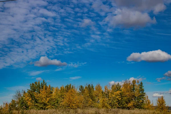 Colori Autunno Mostra Nei Campi Intorno Calgary — Foto Stock