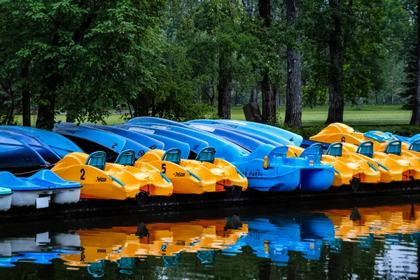 Canoas Botes Remos Bowness Park Calgary Alberta Canadá —  Fotos de Stock