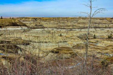 Horseshoe Kanyonu 'nda hala kar var. Drumheller Alberta, Kanada.