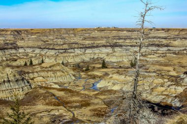 Horseshoe Kanyonu 'nda hala kar var. Drumheller Alberta, Kanada.