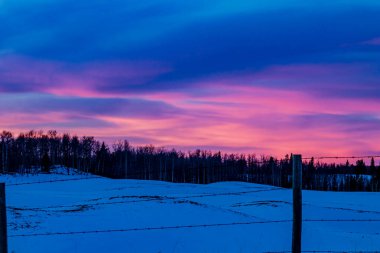 Güneş patikadan batıyor. Kovboy Patikası, Alberta, Kanada