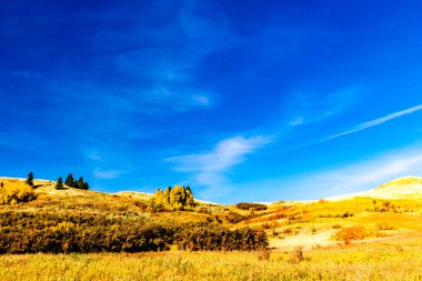 Sonbahar renkleri, mavi gökyüzü ve viski bulutları kırsal bölgeleri işaretliyor. Cypress County, Alberta, Kanada