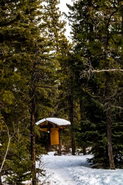 Taşrada hala kar var. Exshaw, Alberta, Kanada