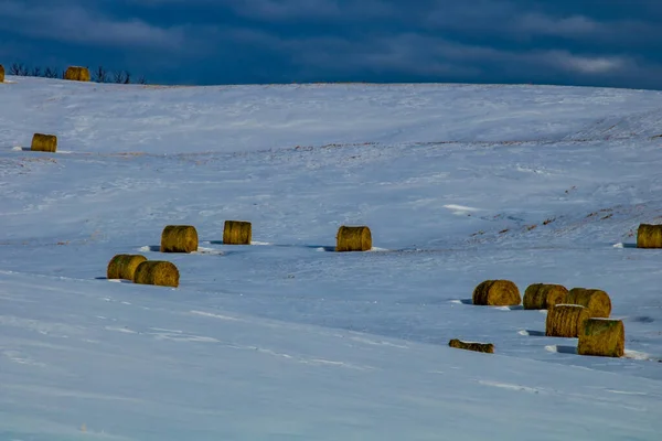 눈덮인 들판에 캐나다 앨버타주의 카우보이 트레일 — 스톡 사진