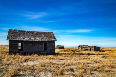 Çayırlardaki eski çiftlik binaları. Alberta, Kanada