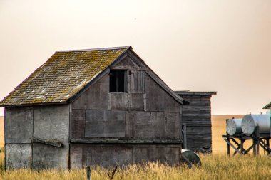 Çayırlardaki eski çiftlik binaları. Alberta, Kanada