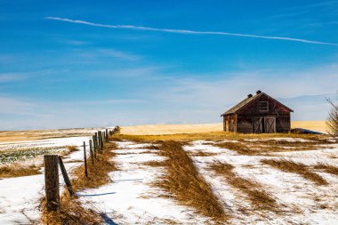 Çayırlardaki eski çiftlik binaları. Alberta, Kanada