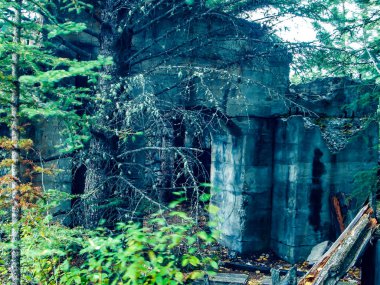 Eski bir kömür madeninin kalıntıları. Lower Bankhead, Banff Ulusal Parkı, Alberta, Kanada