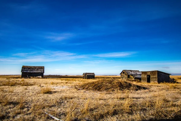 Opuštěné Farmářské Budovy Prériích Alberta Kanada — Stock fotografie