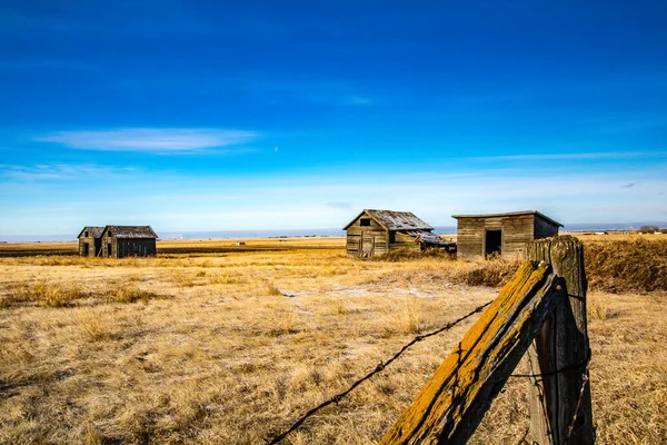 Edifícios Agrícolas Ligados Nas Pradarias Alberta Canadá — Fotografia de Stock