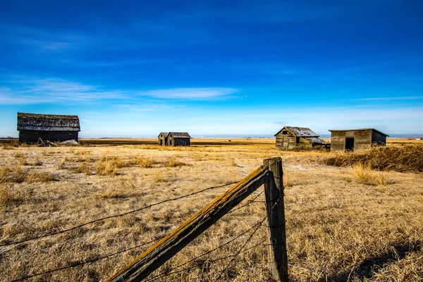 Verlassene Landwirtschaftliche Gebäude Auf Der Prärie Alberta Kanada — Stockfoto