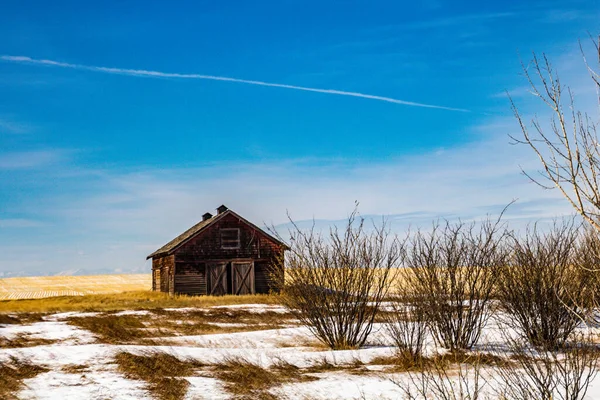 Opuštěné Farmářské Budovy Prériích Alberta Kanada — Stock fotografie