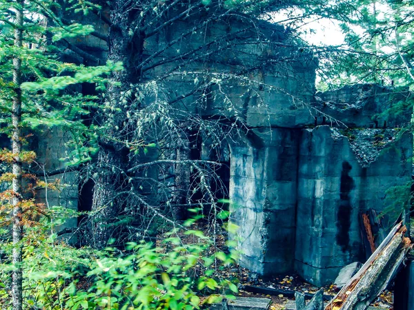 Eski bir kömür madeninin kalıntıları. Lower Bankhead, Banff Ulusal Parkı, Alberta, Kanada