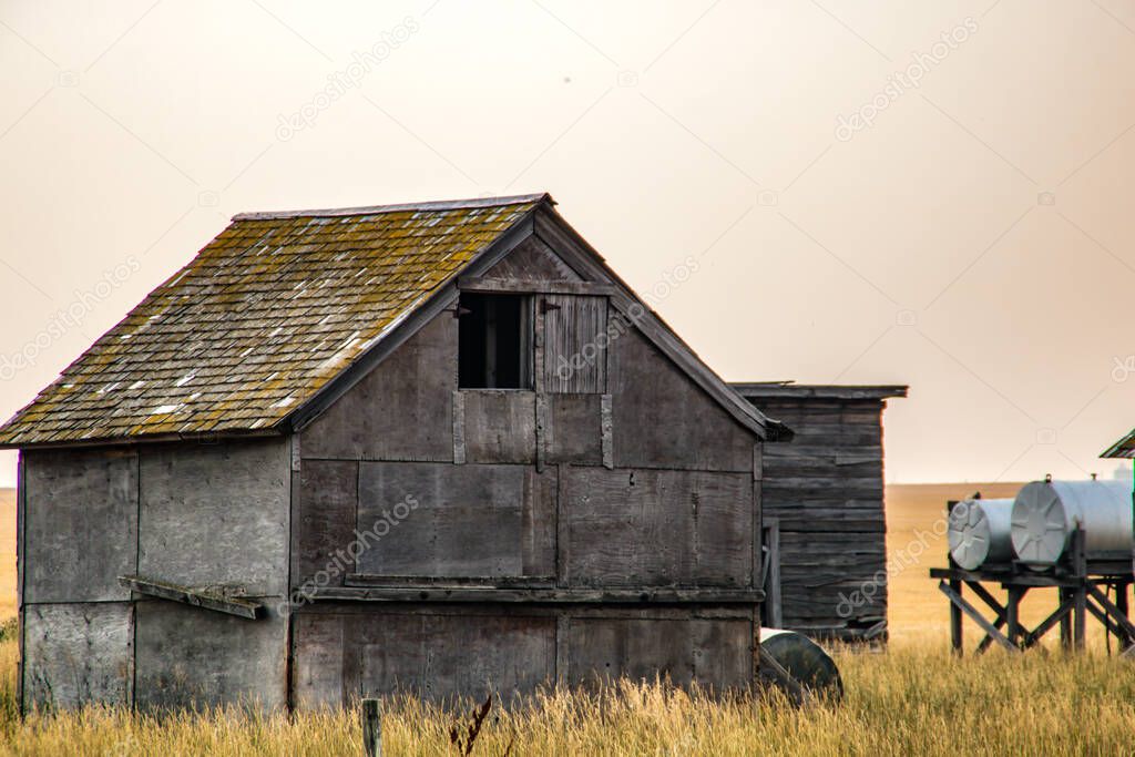 Abonded farm buildings on the prairies. Alberta, Canada