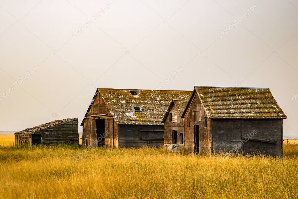 Abonded farm buildings on the prairies. Alberta, Canada