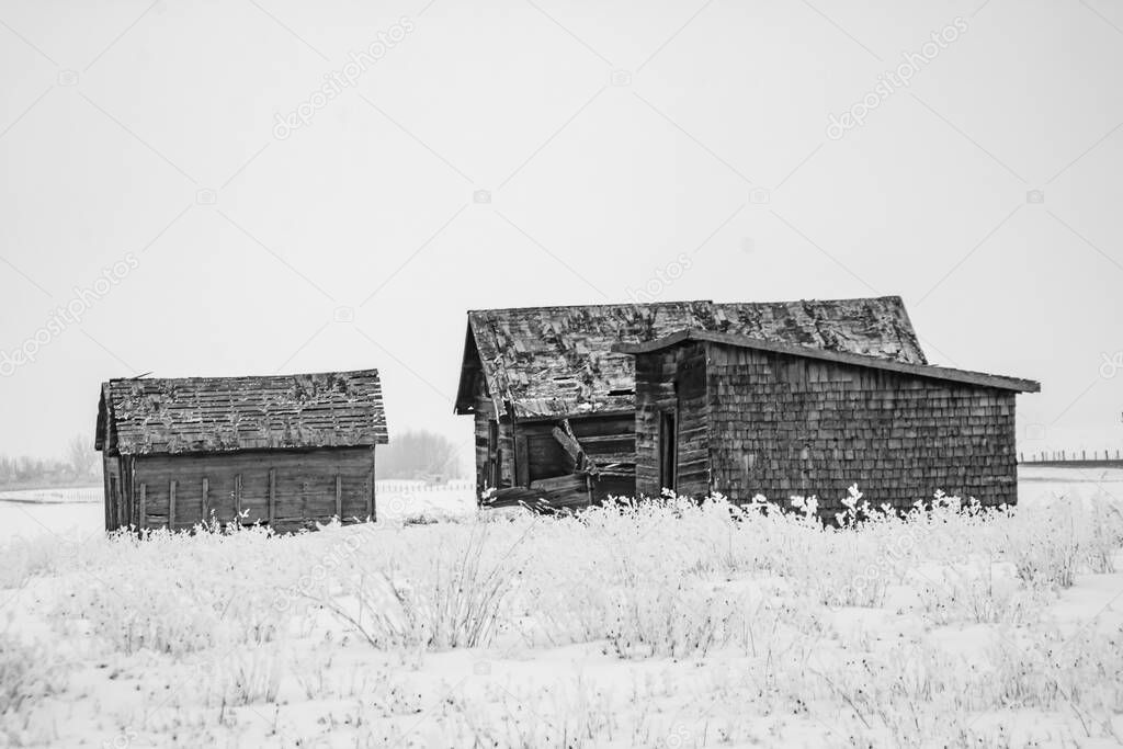 Abondoned farm buildings on a frosty morning. Alberta, Canada