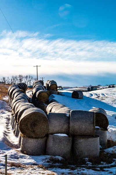 Saman balyaları ve kaya oluşumları tarlaları işaretliyor. Rockyview County, Alberta, Kanada