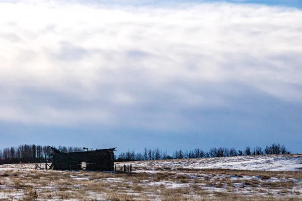 Edifício Rústico Num Campo Condado Rockyview Alberta Canadá — Fotografia de Stock