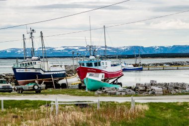 Tuckers Koyu 'ndaki evler ve balıkçı tekneleri. İnek Başı, Newfoundland, Kanada