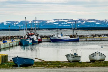 Tuckers Koyu 'ndaki evler ve balıkçı tekneleri. İnek Başı, Newfoundland, Kanada