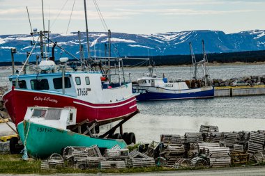 Tuckers Koyu 'ndaki evler ve balıkçı tekneleri. İnek Başı, Newfoundland, Kanada